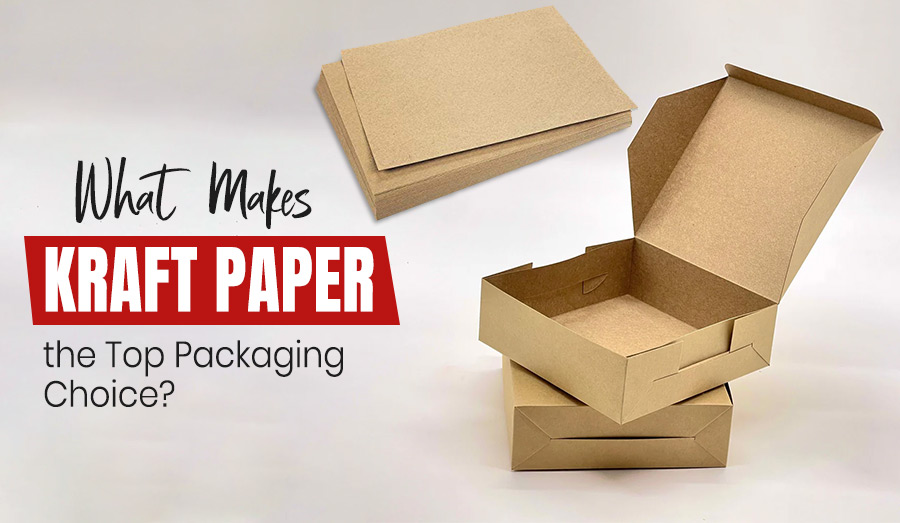 What Makes Kraft Paper the Top Packaging Choice?